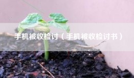 手机被收检讨（手机被收检讨书）