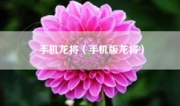 手机龙将（手机版龙将）