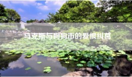马克斯与狗狗币的爱恨纠葛