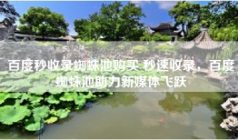 百度秒收录蜘蛛池购买 秒速收录，百度蜘蛛池助力新媒体飞跃