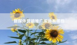 新媒体营销推广渠道有哪些