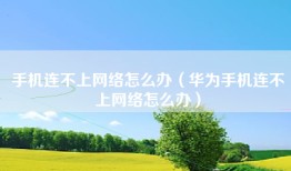 手机连不上网络怎么办（华为手机连不上网络怎么办）