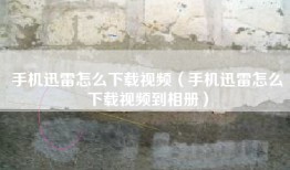 手机迅雷怎么下载视频（手机迅雷怎么下载视频到相册）