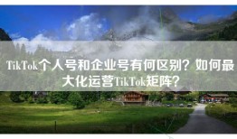 TikTok个人号和企业号有何区别？如何最大化运营TikTok矩阵？