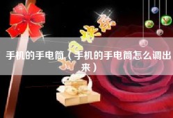 手机的手电筒（手机的手电筒怎么调出来）