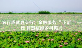 农行成武县支行：金融服务 ＂下沉＂ 一线 智慧赋能乡村振兴