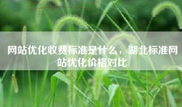 网站优化收费标准是什么，湖北标准网站优化价格对比