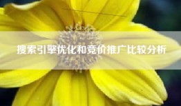 搜索引擎优化和竞价推广比较分析