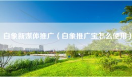 白象新媒体推广（白象推广宝怎么使用）