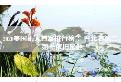 2020美国十大首富排行榜 ：巴菲特第二，第一依旧是他
