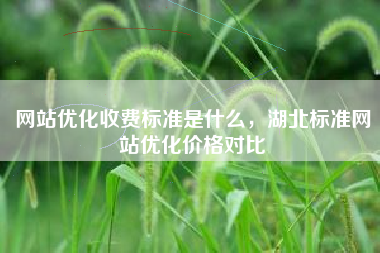 网站优化收费标准是什么，湖北标准网站优化价格对比
